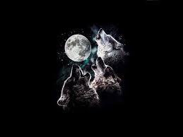 Follow the vibe and change your wallpaper every day! Hd Wallpaper 3 Wolf Moon Howling Moon Night Sky Stars Three Trio Wolves Hd Wallpaper Flare