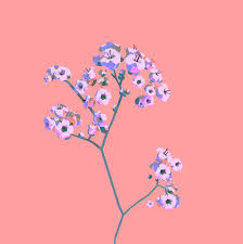 Meet Jeron Braxton The Man Igniting A Cultural Shift Through 3d Animation 3d For Designers 3d Animation Art Design Animation