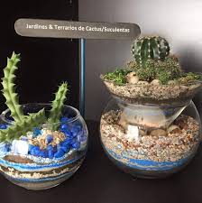 Los cactus y las suculentas son cada vez más populares y hoy nos dedicaremos a saber algo de estas plantas. Jardines Terrarios De Cactus Suculentas Home Decor Cartago Costa Rica Facebook 382 Photos