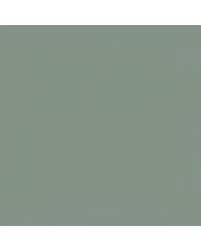 Image result for Inari Silver 1981 Audi