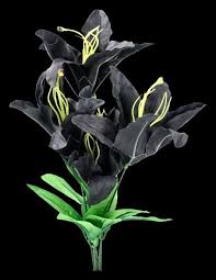 We specialize in the design, production, and packaging of a wide variety of artificial flowers. Artificial Flower Black Rose Www Figuren Shop De