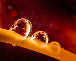 If you're having a hard time. Elevation Of Ga Richmond Hill Ga Usa Topographic Map Altitude Map