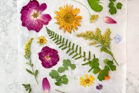 Maybe you would like to learn more about one of these? How To Make Pressed Flowers In The Microwave Hgtv