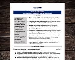 Our excel and word project templates will improve the way you manage tasks, teams, and projects, from start to finish. Senior Project Manager Resume Cv Template Microsoft Word Etsy
