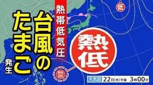 TBS NEWS DIG