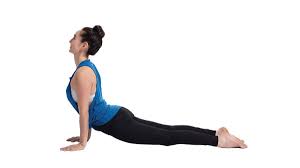 Upward Facing Dog Pose Cool Yoga Poses Upward Facing Dog Pose Yoga Poses