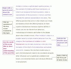 For example, leading off of our first topic sentence example you might want to say half of. Example Introduction Of A Research Paper Writing Introductions Essay Writing Tips Essay Examples