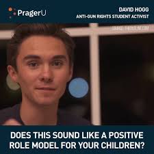 Is David Hogg a Role Model?