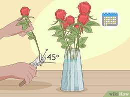 3 Ways To Revive Roses - Wikihow