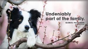 Maybe you would like to learn more about one of these? Global Pet Foods Home Facebook