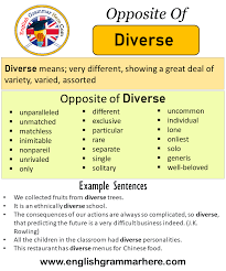 We did not find results for: Opposite Of Diverse Antonyms Of Diverse Meaning And Example Sentences English Grammar Here