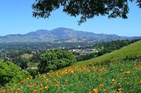 Mt Diablo With Poppies California Travel Beautiful Places California Dreaming