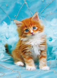 Play full screen, enjoy puzzle of the day and thousands more. Kitten Jigsaw Puzzles For Sale Off 63