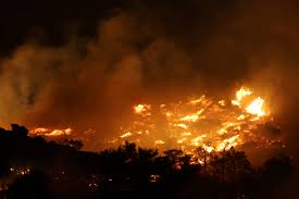 Mei Lee porn – preferences about how