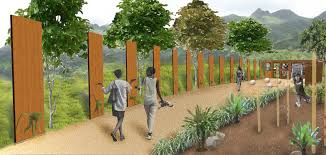 Image result for Deinbollia kilimandscharica