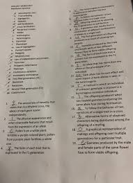 While mendel's research was with plants, the basic underlying principles of heredity that he discovered also apply to people and other animals because the mechanisms of heredity are essentially the same for all complex life forms. Solved Bology Worksheet Mendelian Genetics Monohybrid Cro Chegg Com