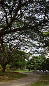 Apa yang menarik di taman botani shah alam. 15 Tempat Menarik Di Shah Alam Makan Lepak Sekali
