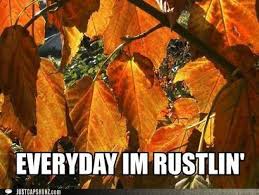 Happy Fall Ya Ll Monday Memes Fall Memes Fall Humor Fall Is Here
