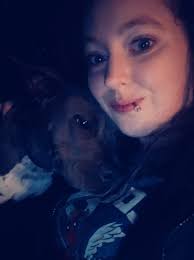 Small dog for adoption at HSOY