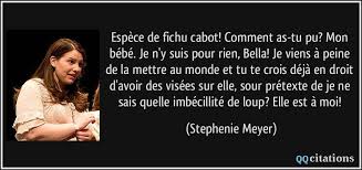 Fichier numérique « téléchargement immédiat » ★ aucun élément physique ne sera expédié. Espece De Fichu Cabot Comment As Tu Pu Mon Bebe Je N Y Suis Pour Rien Bella Je Viens A Peine De La Mettre Au