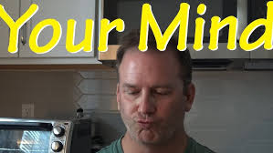 FLUX + COSMOS + TERRA (SOMA Labs)