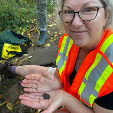 Cleaning Instant Pot with textured sponge, steel wool concerns