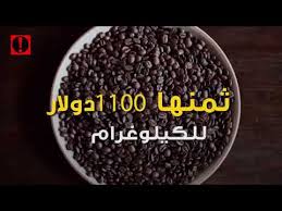 فوائد القهوة قهوة براز الفيل الأغلي في العالم قهوة مختصة افضل محل قهوة مختصة الرياض ادوات القهوة المختصة