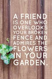 Are you looking for a happy friendship day date? Let S Celebrate Friendship Day My Cup Of Cocoa Friendship Day Quotes Healthy Friendship Quotes International Friendship Day