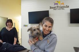 Pet vacations, eating together, and artisan treasures