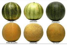 Maybe you would like to learn more about one of these? Keanekaragaman Tingkat Jenis Pengertian Contoh Hayati