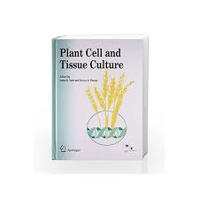Series title methods in molecular biology™. Plant Cell Tissue Culture By Adams M R Buy Online Plant Cell Tissue Culture Book At Best Prices In India Madrasshoppe Com