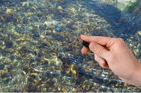 Teen's Record-Breaking Montana Catch is Also a Bit Hilarious