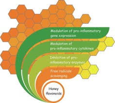 Fast and stable downloads,thanks to our powerful servers. In Vitro Anti Inflammatory Properties Of Honey Flavonoids A Review Sciencedirect