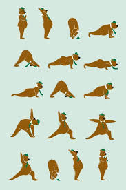 Yogi Bear Doing Yoga So Fitting Since This Is What I Named My Board And This Is What I Will Look Like Doing Yoga Namaste Yoga Enfant Yoga