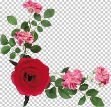 Gimp comes with default patterns but you can easily make your own and then use for all kinds of special effects. Flower Gimp Png Clipart Clip Art Cut Flowers Floral Design Floribunda Floristry Free Png Download