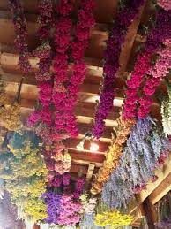 For an added touch, hang a felt pillow or a pinecone in the center. A Colorful Decoration On The Ceiling Dried Flowers Flower Ceiling Colorful Decor