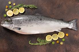 Salmon