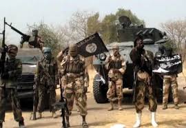 Nigerian soldiers have overrun a farm allegedly owned by boko haram leader, abubakar shekau in the sambisa forest just the military troops successfully repelled iswap terrorists who attacked dikwa town on friday evening. Boko Haram Soldiers Uncover Shekau S Farm Inside Sambisa Forest