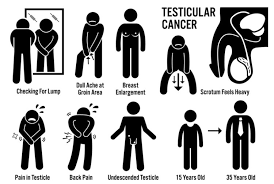 Warning signs of testicular cancer include a testicular lump, aching in the groin, swelling, back pain, and infection. Testicular Cancer Rates Are Rising Do You Know The Early Warning Signs David Avocado Wolfe