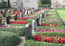 Gartenbesitzer verhindern damit, dass manche sommerblume sich an orten ausbreitet, wo sie das nicht möchten. Sommerblumen Und Strukturpflanzen Fur Den Friedhof