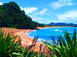 New Zealand Beach Wallpaper Download this auckland, new zealand auckland new zealand desktop wallpaper in multiple resolutions for free. new zealand beach wallpaper