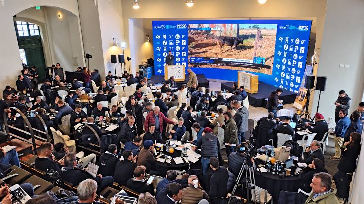 Banco Nación y ROSGAN impulsan el Gran Remate Aniversario con la fuerza de Expoagro - Expoagro - Edición YPF Agro