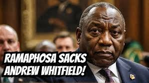 Why Did South Africa's President Fire Deputy Minister Andrew Whitfield?