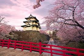 It's said that the history goes back to the time of japan's oldest record, called kojiki or the records of ancient matters.cherry trees were treated as sacred in the time of japan's oldest anthology of poems (manyoshu). How To See Japan S Cherry Blossoms And When To Plan Your Trip Bloomberg