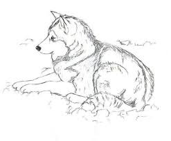 Color pictures, email pictures, and more with these dogs coloring pages. Husky Coloring Pages Pdf Coloringfolder Com Puppy Coloring Pages Animal Coloring Pages Dog Coloring Page