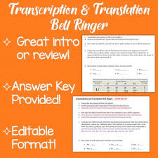 By way of example, if he knows his performance will be judged. Transcription Translation Worksheet Biology Transcription And Translation Worksheet Espaco B