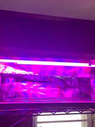 Do you have a pix of them, or possibly a link?? Hyper Tough 24 Led 17w Full Spectrum Grow Light Linkable Mounting Hardware Included Walmart Com Walmart Com