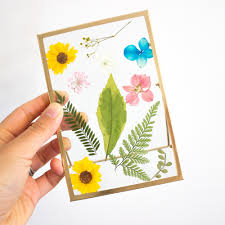 If you haven't any pressed, here's my simple guide to pressing flowers. Diy Pressed Flowers In A Floating Glass Frame Craft Pink Stripey Socks