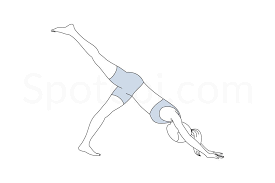 One Legged Downward Dog Pose Eka Pada Adho Mukha Svanasana Fisio