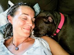 Dog damage to downspout and siding